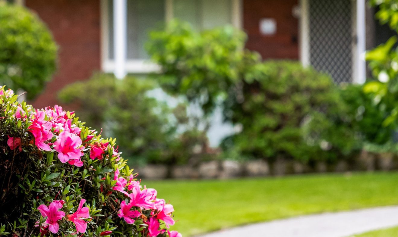 Hunters Hill Web Images P2 Garden
