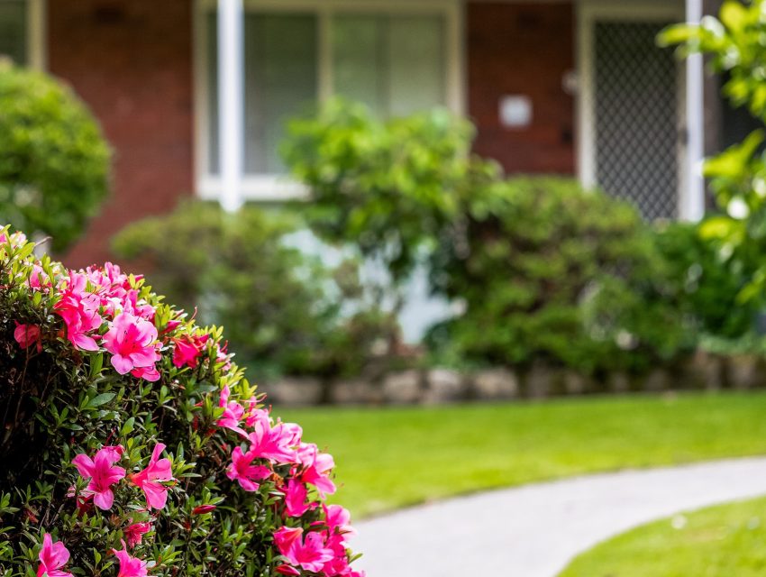 Hunters Hill Web Images P2 Garden