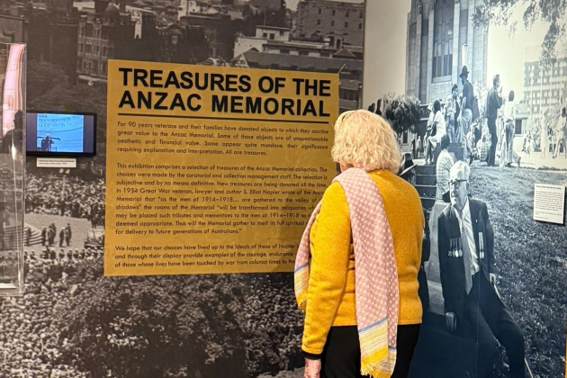Image 49 Anzac Memorial video lady